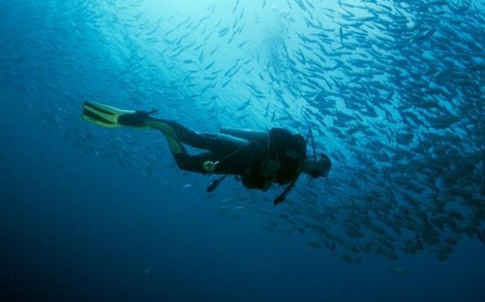 Anilao Scuba Dive Center Resort