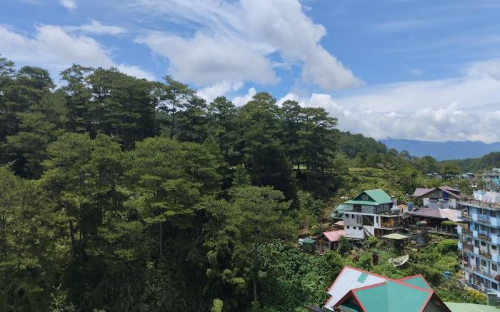 Grandma's Yellow House