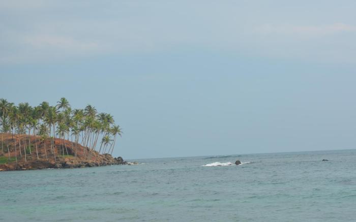 Sea Goggle Rest Resort