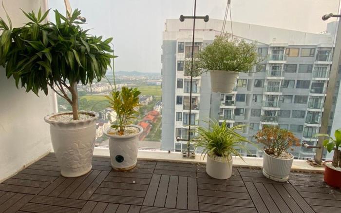 Huế ơi 2 - Homestay & Apartment