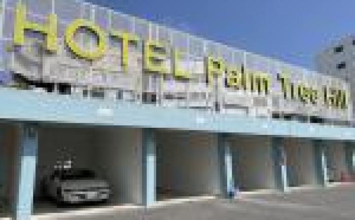 HOTEL Palm Tree Hill