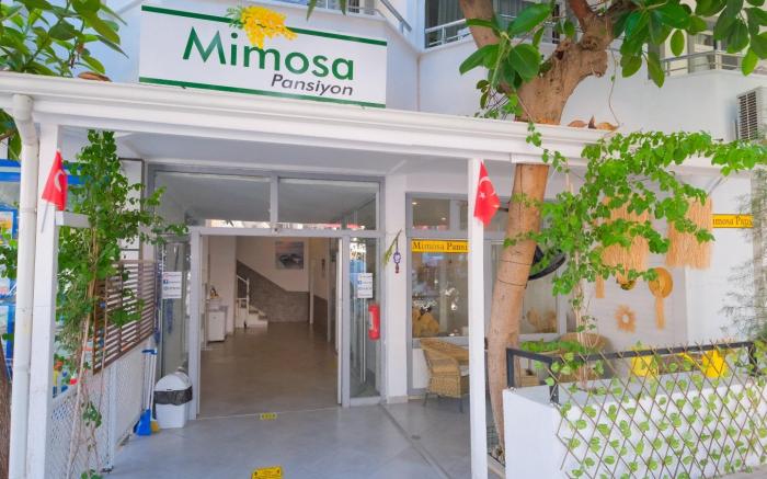 Mimosa Pension