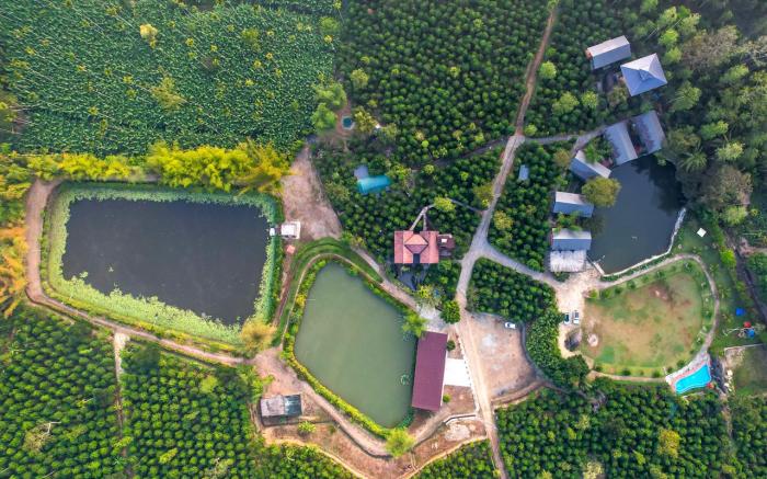 Niyatma Wayanad Premium Resort by VOYE HOMES