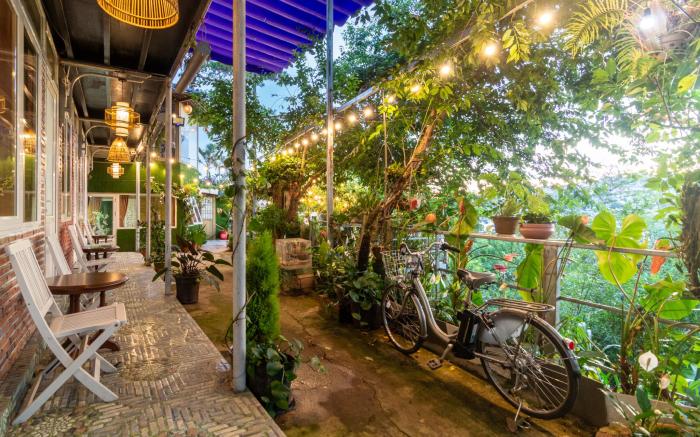 Robins Guesthouse
