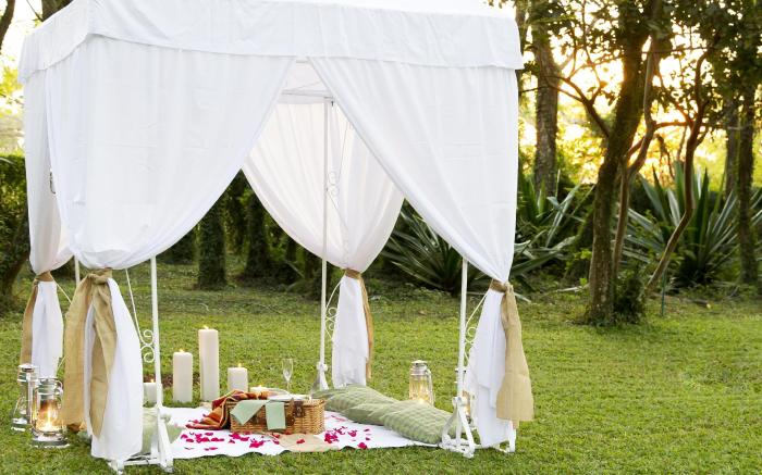 Nut Grove Boutique Hotel