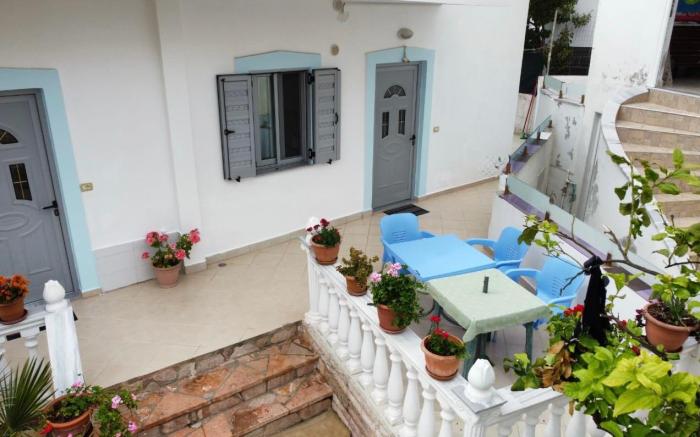 Vila leo