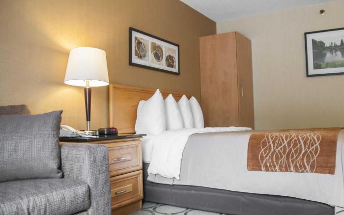 Comfort Inn South
