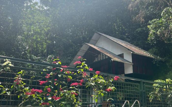 Wayanad Brook Valley Resort 