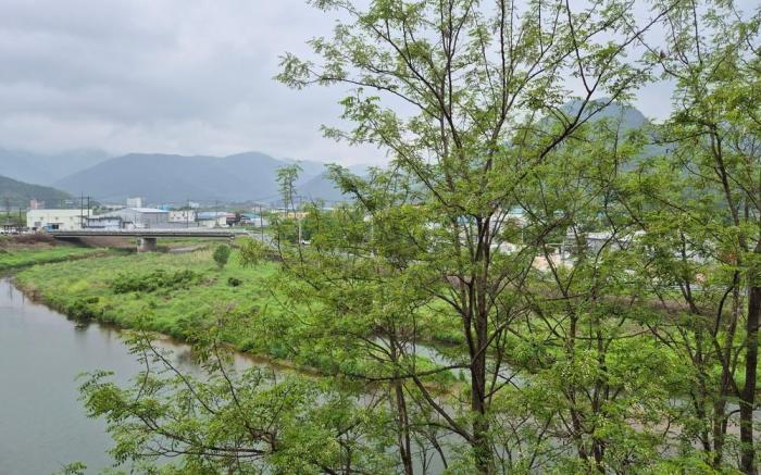 Gyeongsan Annex Pension