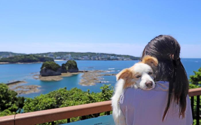 Nanki Shirahama Wan Wan Paradise Hotel