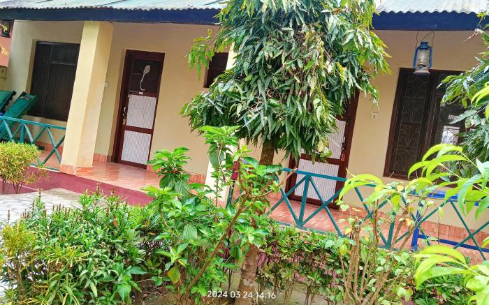 Hotel Butterfly , Sauraha , Chitwan