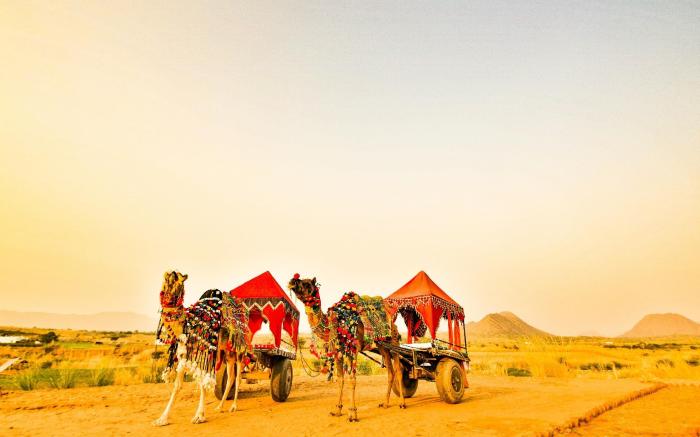 Pushkar Karni Camp