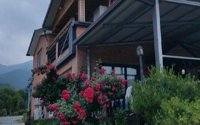 Yeongju Terra Pimin Park Pension