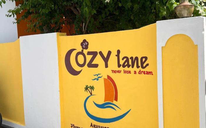 Cozy lane Surf Camp