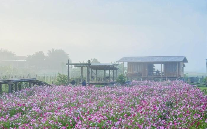 Origina Farm