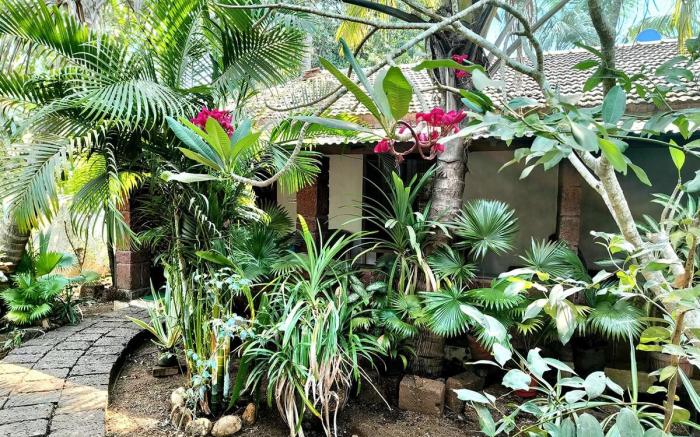 L'AZUR Studio Cottage 1, Vagator Beach GOA