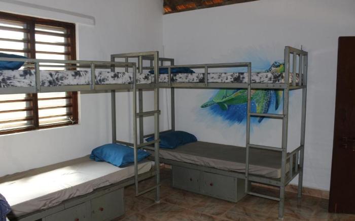 Tusker Tribe Hostel