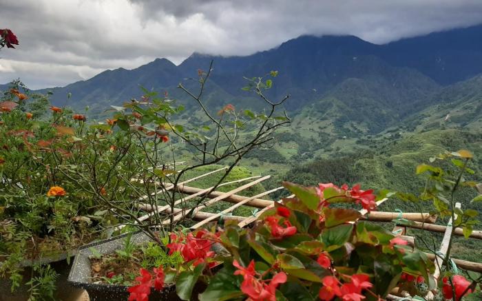 Valley View Homestay