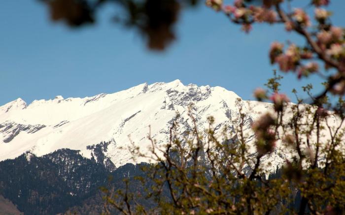 The Manali Lodge