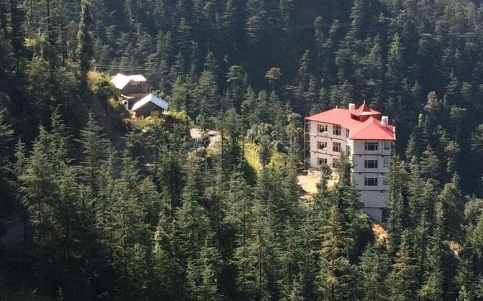 THE JUNGLE STORY - SHIMLA BY HEADQUARTER