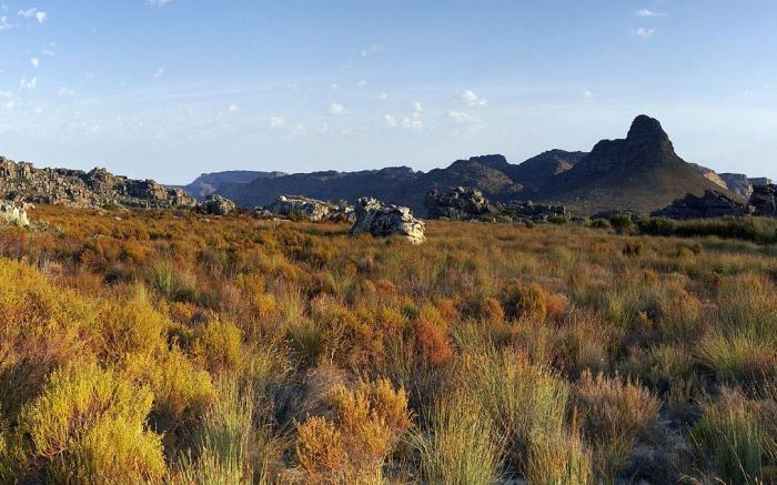 Cederberg Ridge Wilderness Lodge