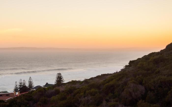 Lilies and Leopards Beda nd Breakfast