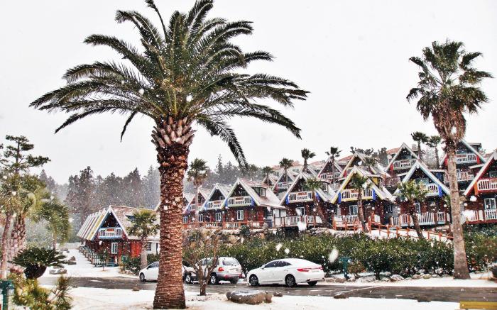 Jungmun Log Pension and Resort