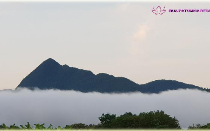 Bua Patumma Resort