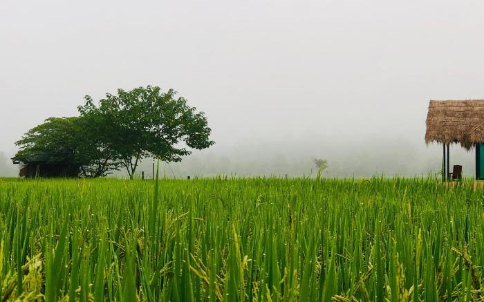 Baan Porhdoi Goidao