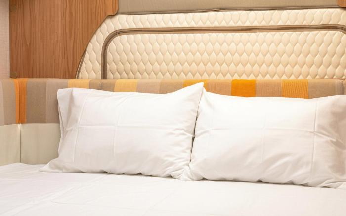 Gapyeong Yumyeongsan Gomone pet Camping