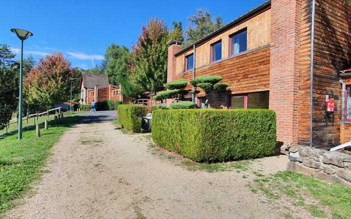 OLYDEA VOREY SUR ARZON VV***