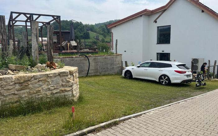 Stará vinice