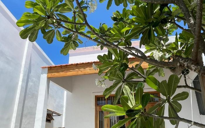 Hồ Tràm Retreat  Homestay (Nguyên Căn)