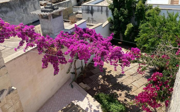 Welcomely - Celi Blu Apartments