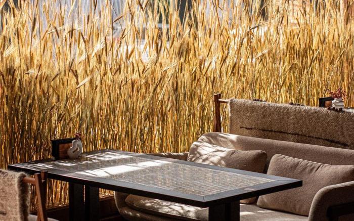 Smart House Apartments