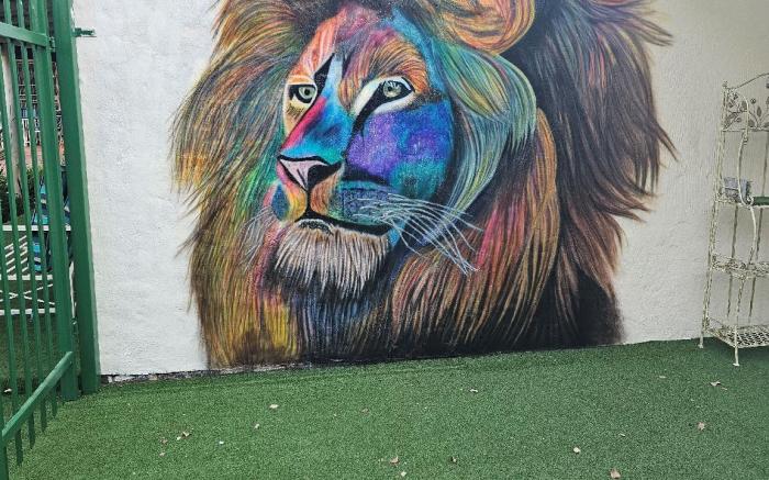 King Sanctuary