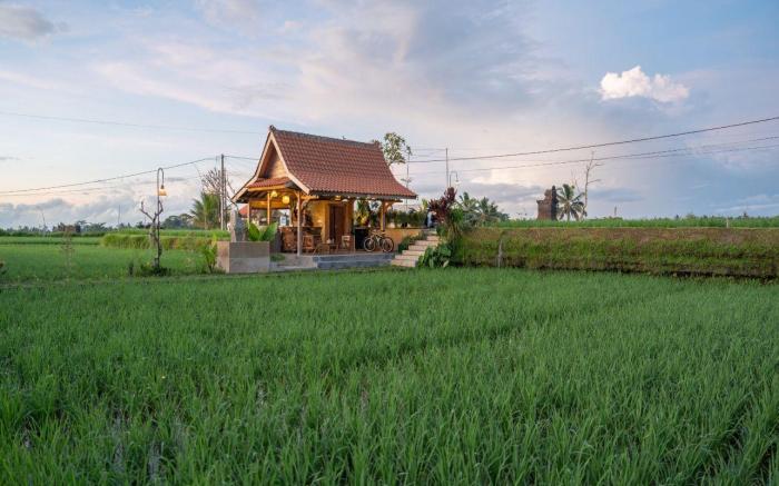 Patra Villa Sebatu