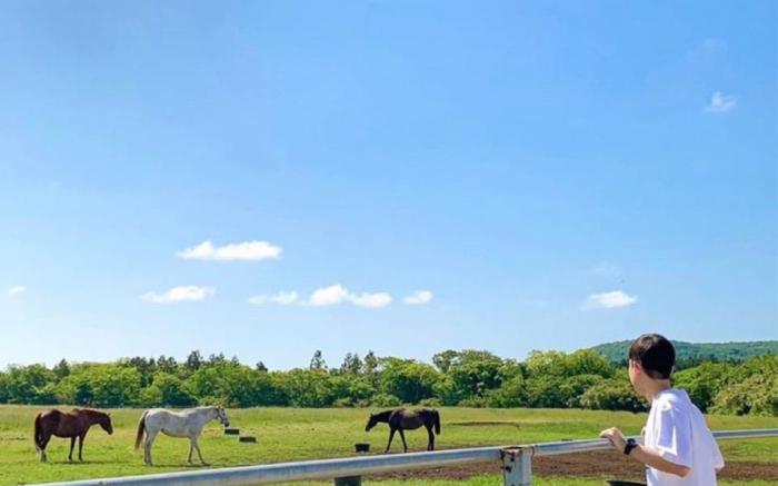 Jejusureum 2, Pretty Couple Accommodation, 10 minutes from Hallasan