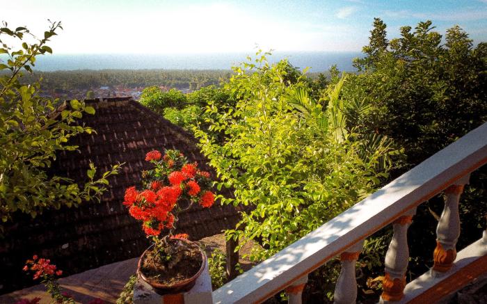 Deluxe Villa with View & open sky shower 