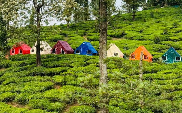 boCHE 1000 Acre