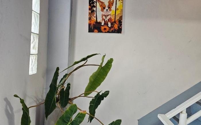 BaanPrang Studio near Chatuchak 295-395/3