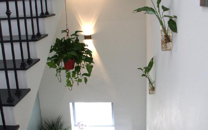 Chiri House