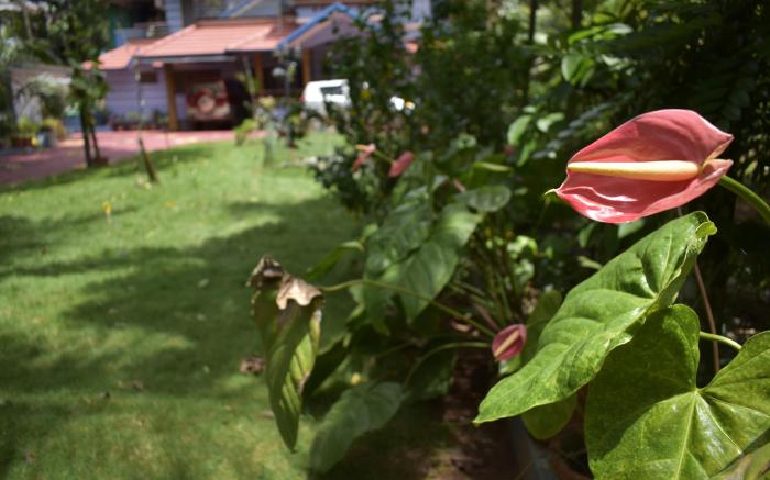 Ben's Villa Kannur !