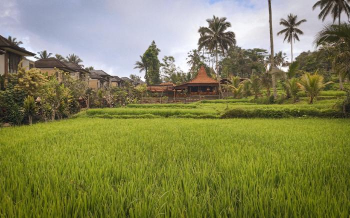 Khastana Hadi Tegallalang Ubud