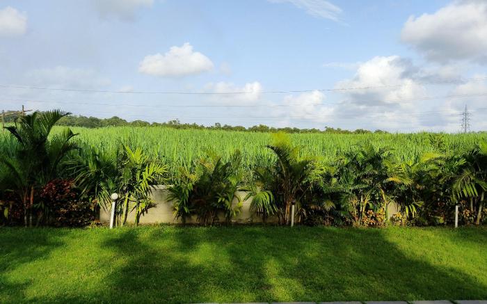 DANDELI CROCODILE EDGE HOME STAY