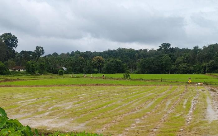 Tiger's corner Cottages and Plantation stay