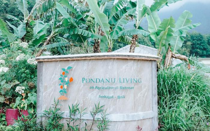 Pondanu Living