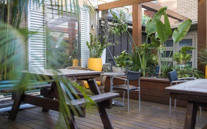 London Plane Backpackers