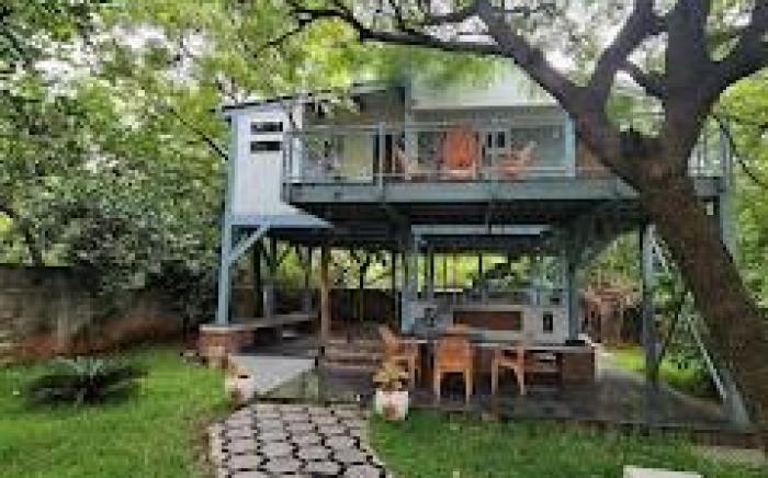 Neem tree retreat