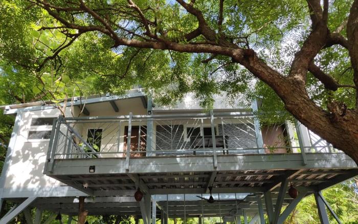 Neem tree retreat